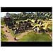 The Settlers 7: Paths to a Kingdom, PC, Strategia / RPG, E10+ (Tutti 10+)  - Foto miniatura 2